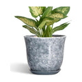 Ceramic Planter, 6 Inch Plant Pot for Indoor Plants, Grey