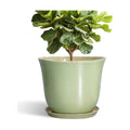 Ceramic Planter, 12 Inch Plant Pot for Indoor Plants, Green