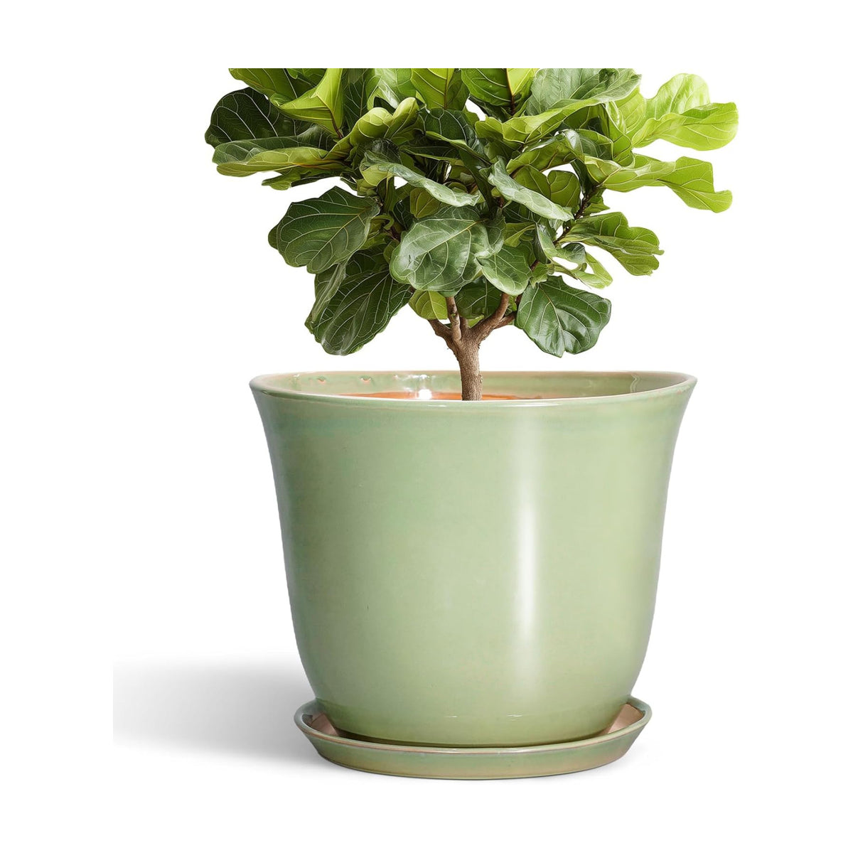 Ceramic Planter, 12 Inch Plant Pot for Indoor Plants, Green