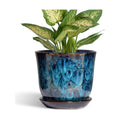 5.6 Inch Plant Pot - Ceramic Pots for Plants with Drainage Hole and Saucer, Round Succulent Flower Orchid Pot for