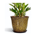 Ceramic Pots for Plants, 10 Inch Plant Pot for Indoor, Yellow