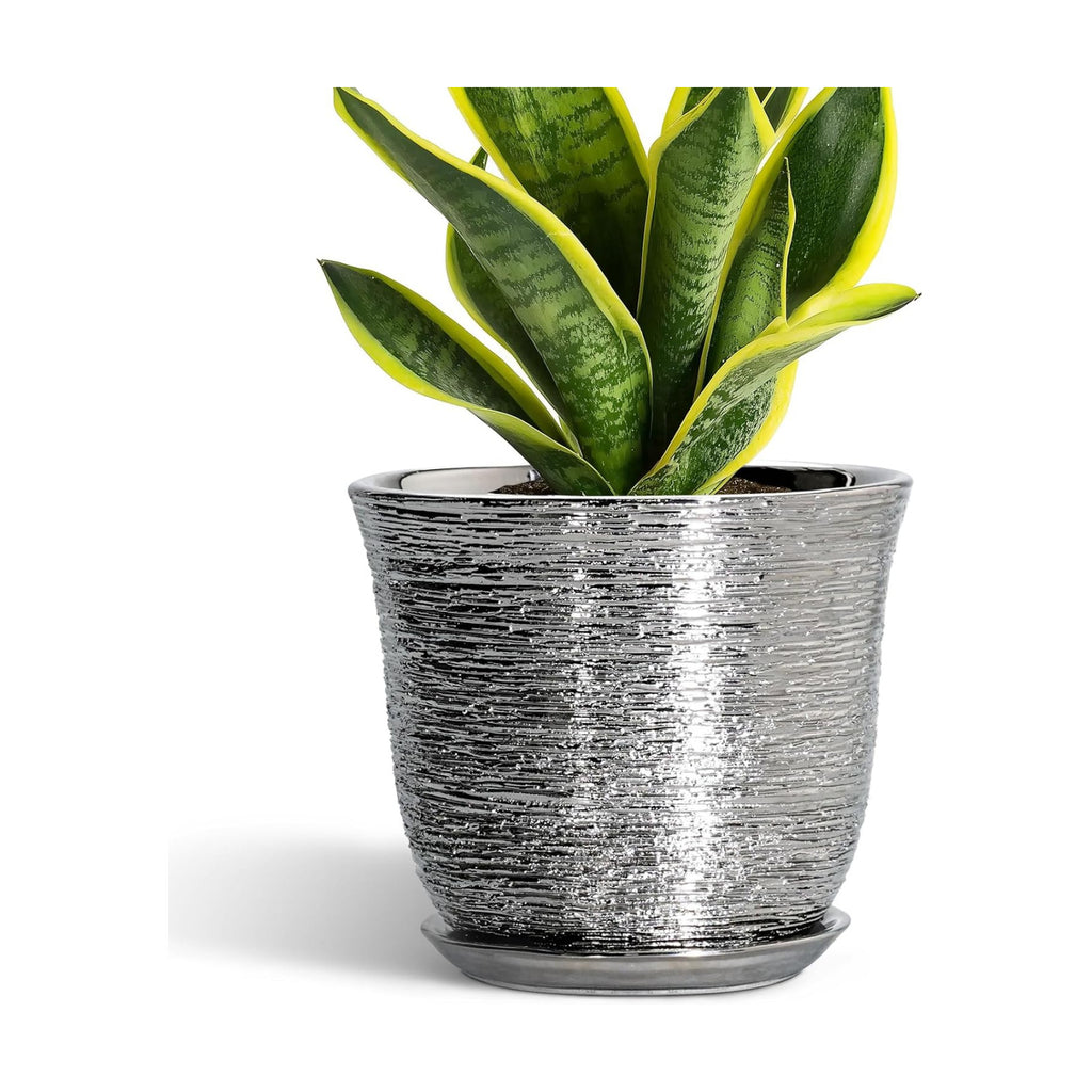Ceramic Pots for Plants, 8 Inch Plant Pot with Drainage, Silver