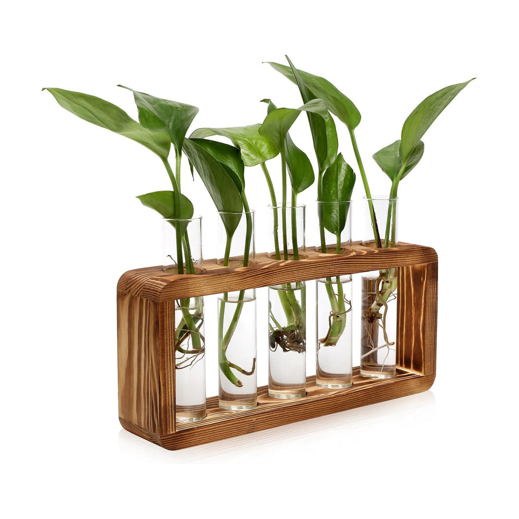 Glass Plant Propagation Station with 5 Test Tubes Colorful Planter Vase | Birthday Gifts for Women Mom Plant Lovers