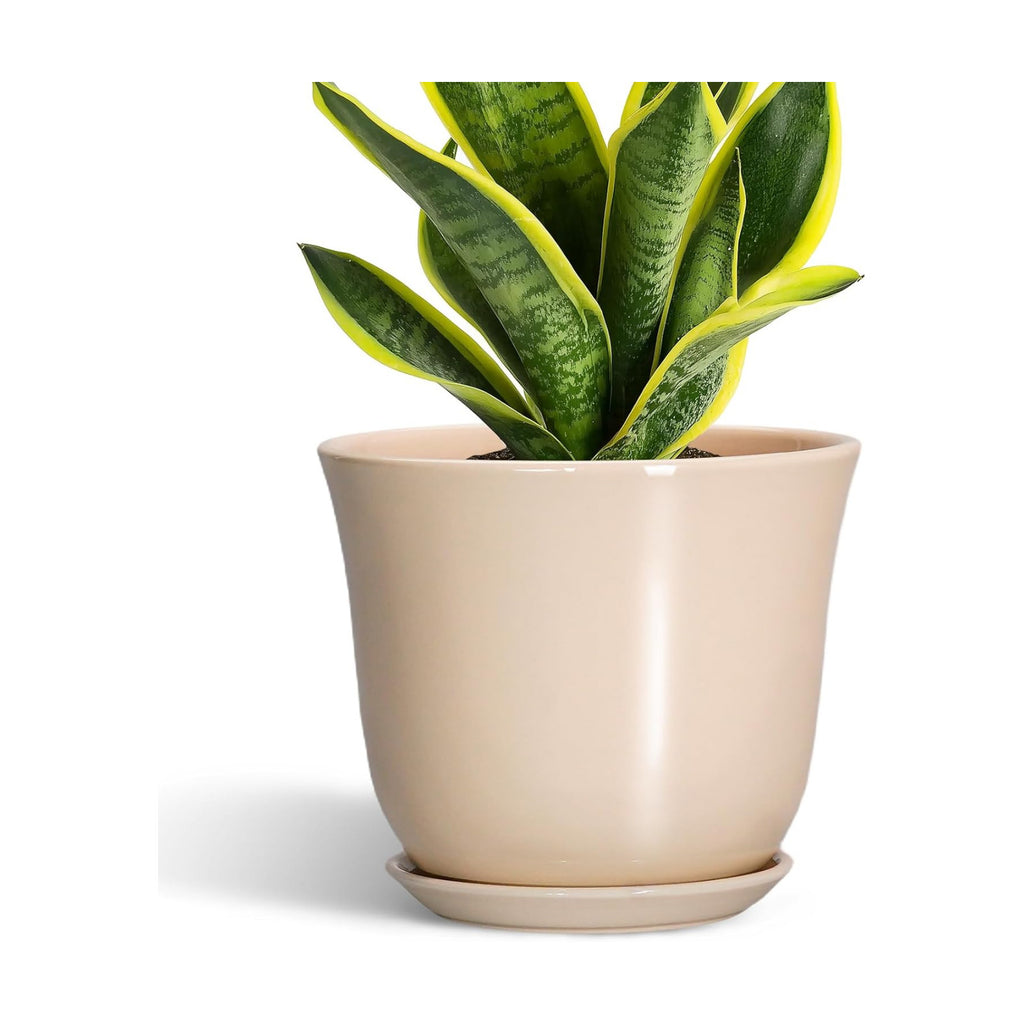 8 Inch Plant Pot, Ceramic Pots for Plants Indoor, Beige