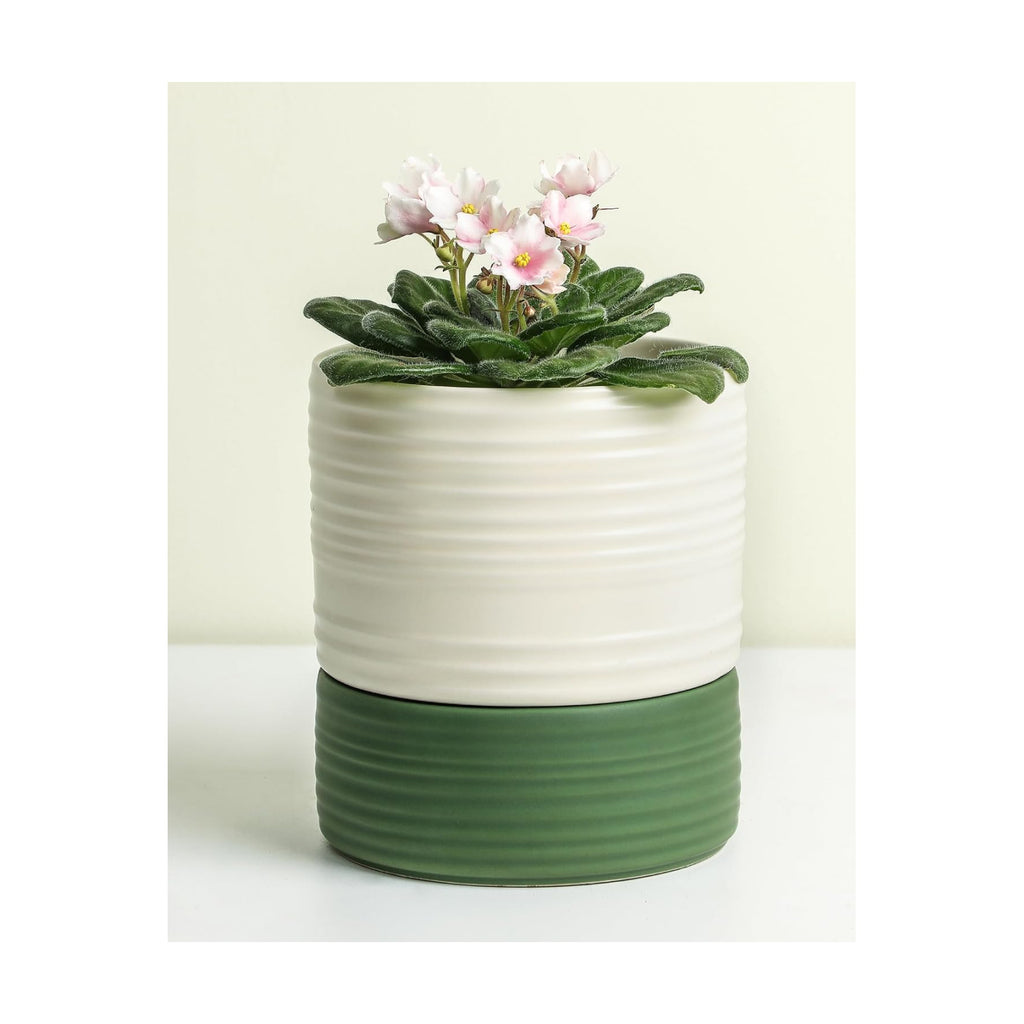 Fayoula Self Watering Pots for Indoor Plants, 6 Inch Ceramic Self Watering Plant Pot, Planter Pot with Wick Rope and