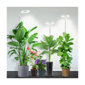Halo Grow Light, Full Spectrum with Gooseneck, 3 Pack | 6000K Plant Light,3 Colors Modes,5 Dimmable Levels,6/12/16H