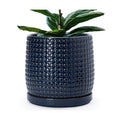 D'vine Dev Beaded Ceramic Pot with Saucer, 10 in, Midnight Blue, 27-C-P-3