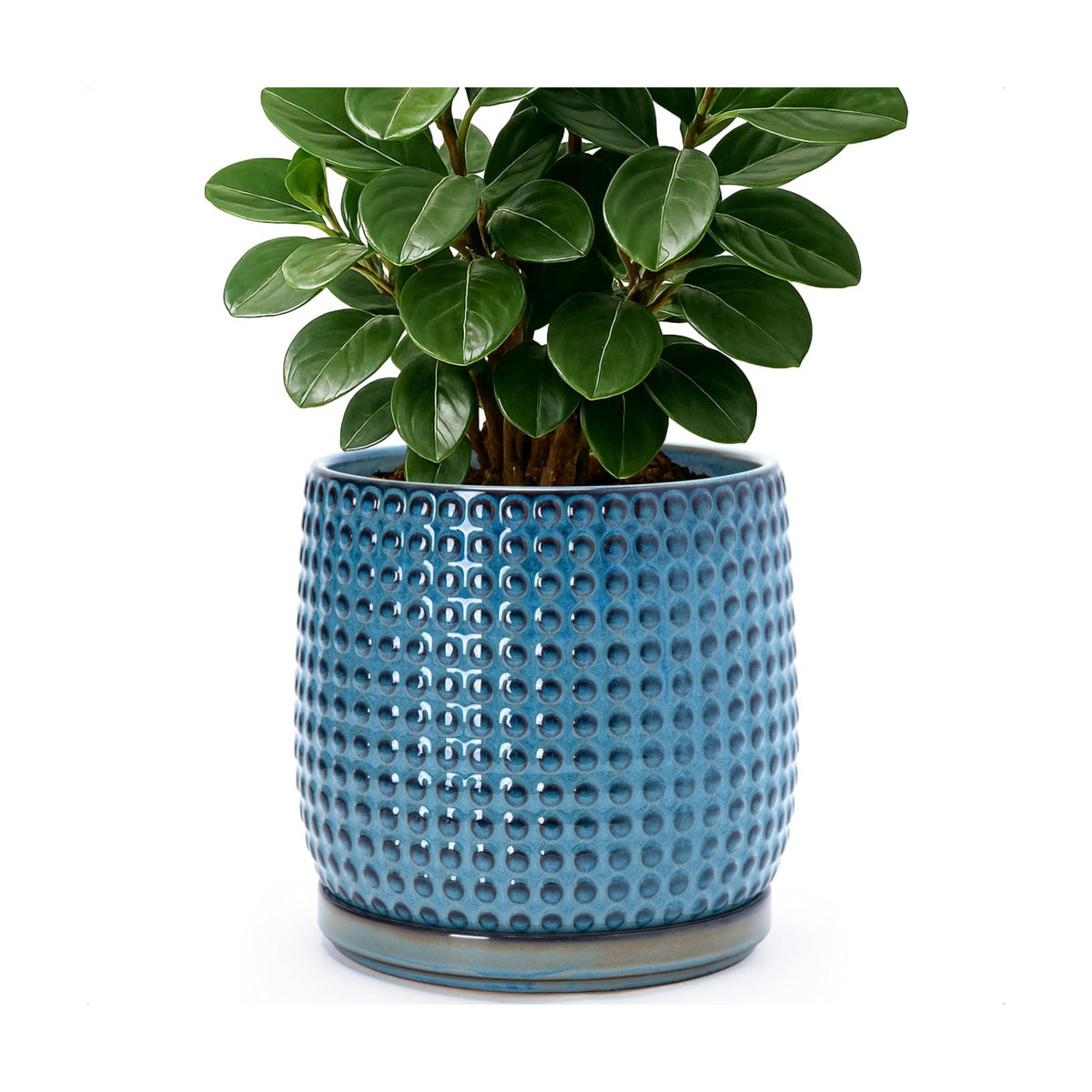 D'vine Dev Beaded Ceramic Pot with Saucer, 8 in, Ocean Teal, 27-C-Q-8