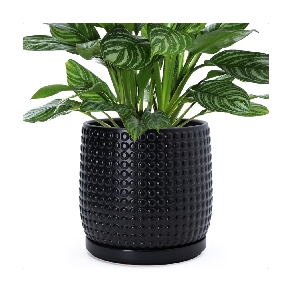 D'vine Dev Beaded Ceramic Pot with Saucer, 8 in, Ebony Matte, 27-C-Q-6