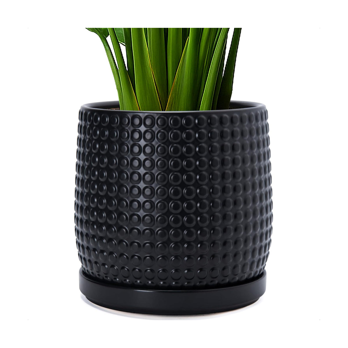 D'vine Dev Beaded Ceramic Pot with Saucer, 10 in, Ebony Matte, 27-C-P-6