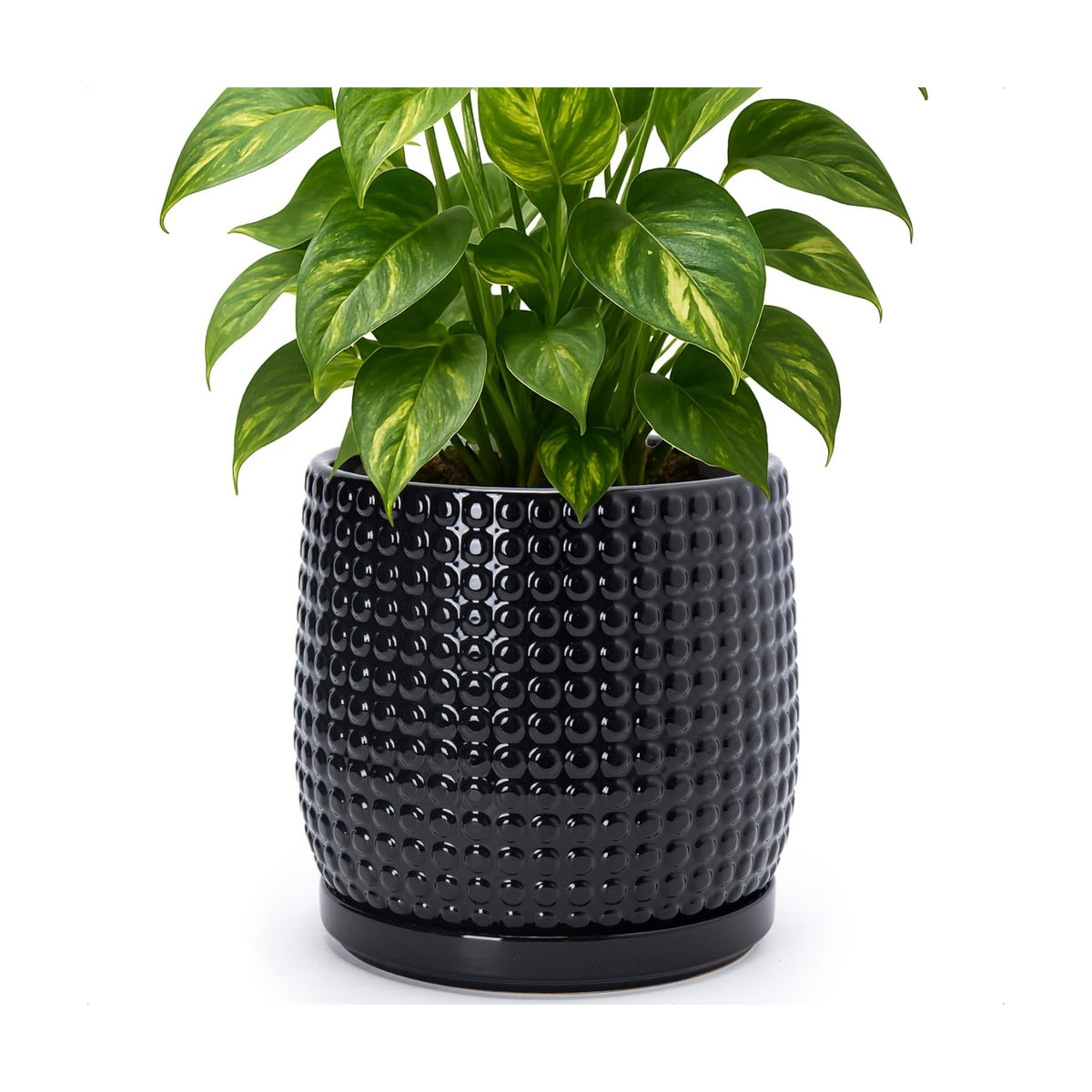 D'vine Dev Beaded Ceramic Pot with Saucer, 8 in, Glossy Black, 27-C-Q-2