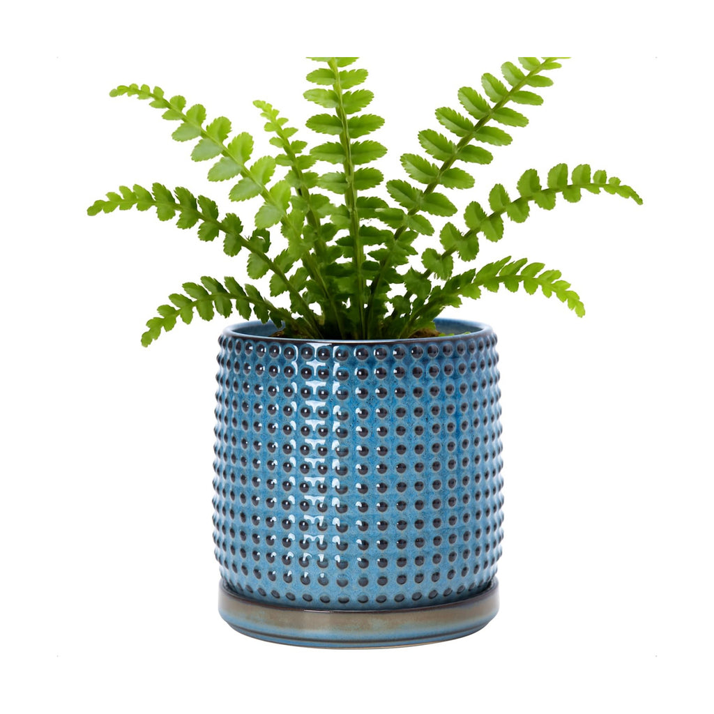 D'vine Dev Beaded Ceramic Pot with Saucer, 6 in, Ocean Teal, 27-C-X-8 | Embossed Dot Texture, Smooth Glazed Finish
