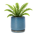 D'vine Dev Beaded Ceramic Pot with Saucer, 6 in, Ocean Teal, 27-C-X-8 | Embossed Dot Texture, Smooth Glazed Finish
