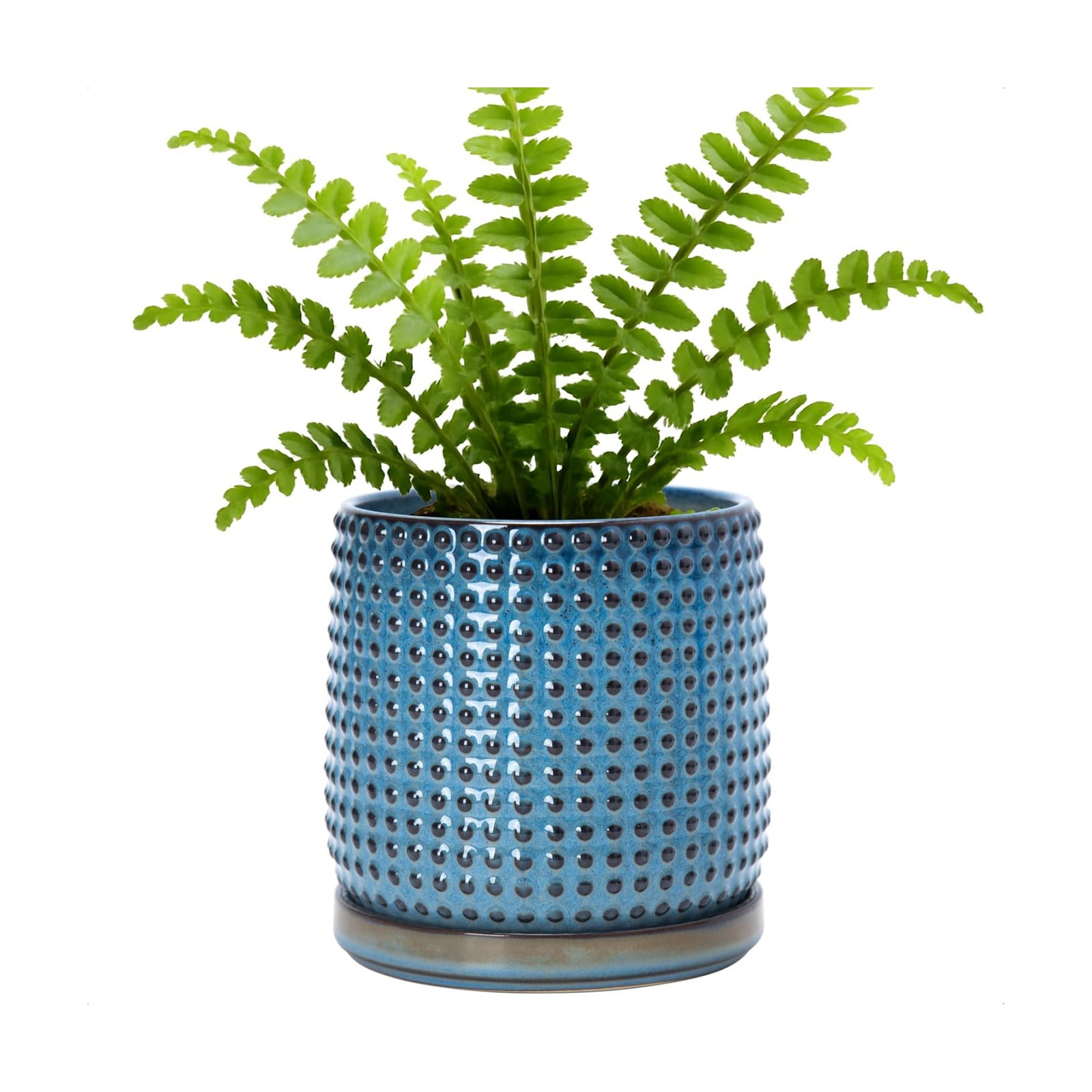D'vine Dev Beaded Ceramic Pot with Saucer, 6 in, Ocean Teal, 27-C-X-8 | Embossed Dot Texture, Smooth Glazed Finish