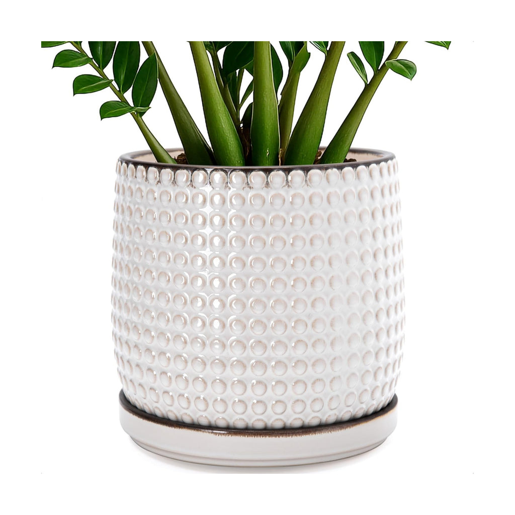 D'vine Dev Beaded Ceramic Pot with Saucer, 10 in, Smoked White, 27-C-P-1 | Embossed Dot Texture, Smooth Glazed Finish