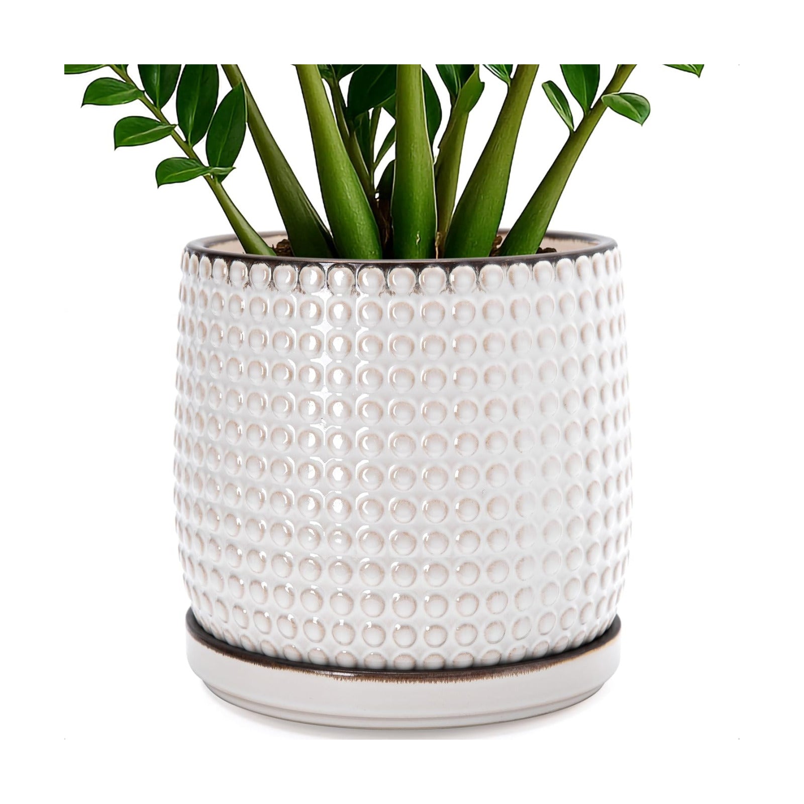 D'vine Dev Beaded Ceramic Pot with Saucer, 10 in, Smoked White, 27-C-P-1 | Embossed Dot Texture, Smooth Glazed Finish