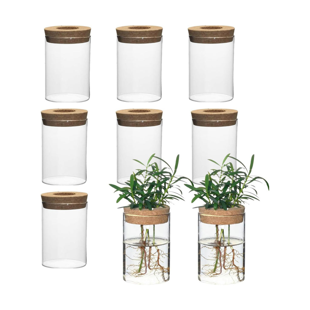 Separated Desktop Glass Flower Vases with Wooden Saucers - Ideal Plants Propagation Stations for Living Room, Bedroom