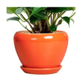 Ceramicfor Ceramic Plant Pot 6 Inch - Ceramic Planter for Indoor Plants Outdoor, Glaze Round Modern Flower Pot with