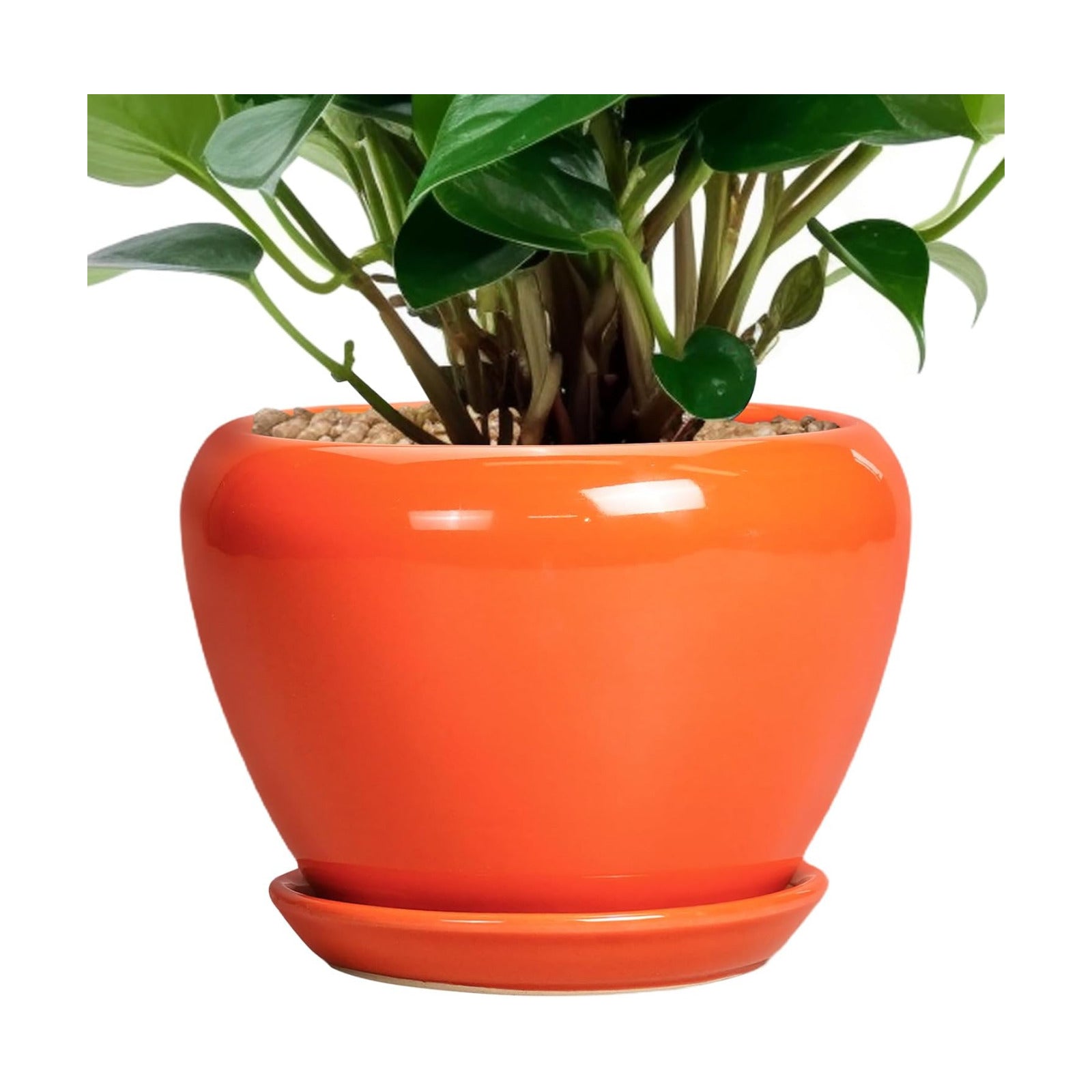 Ceramicfor Ceramic Plant Pot 6 Inch - Ceramic Planter for Indoor Plants Outdoor, Glaze Round Modern Flower Pot with