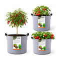 35 Gallon Fabric Grow Bags Nursery Planter Pot for Plants with Handles,3PCS | 35 Gallon Felt Heavy Duty thickened