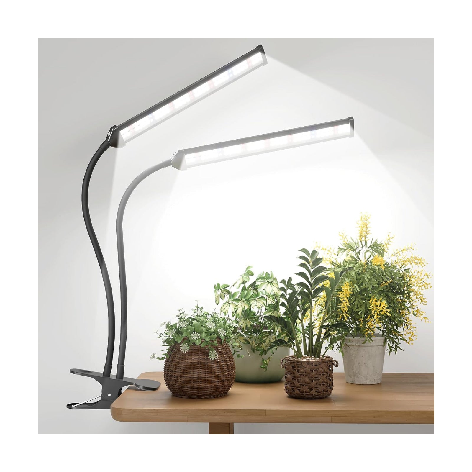 LED Grow Light,White Full Spectrum Clip Plant Growing Lamp | Desk Lamp with High Power Red Blue LEDs for Indoor