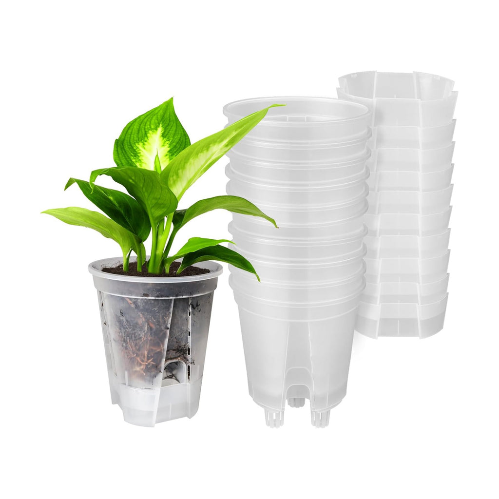GREENPARA 5 Inch Clear Self Watering Planter, Plant Pot with Reservoir | Clear Reservoir • Visible Water Level •