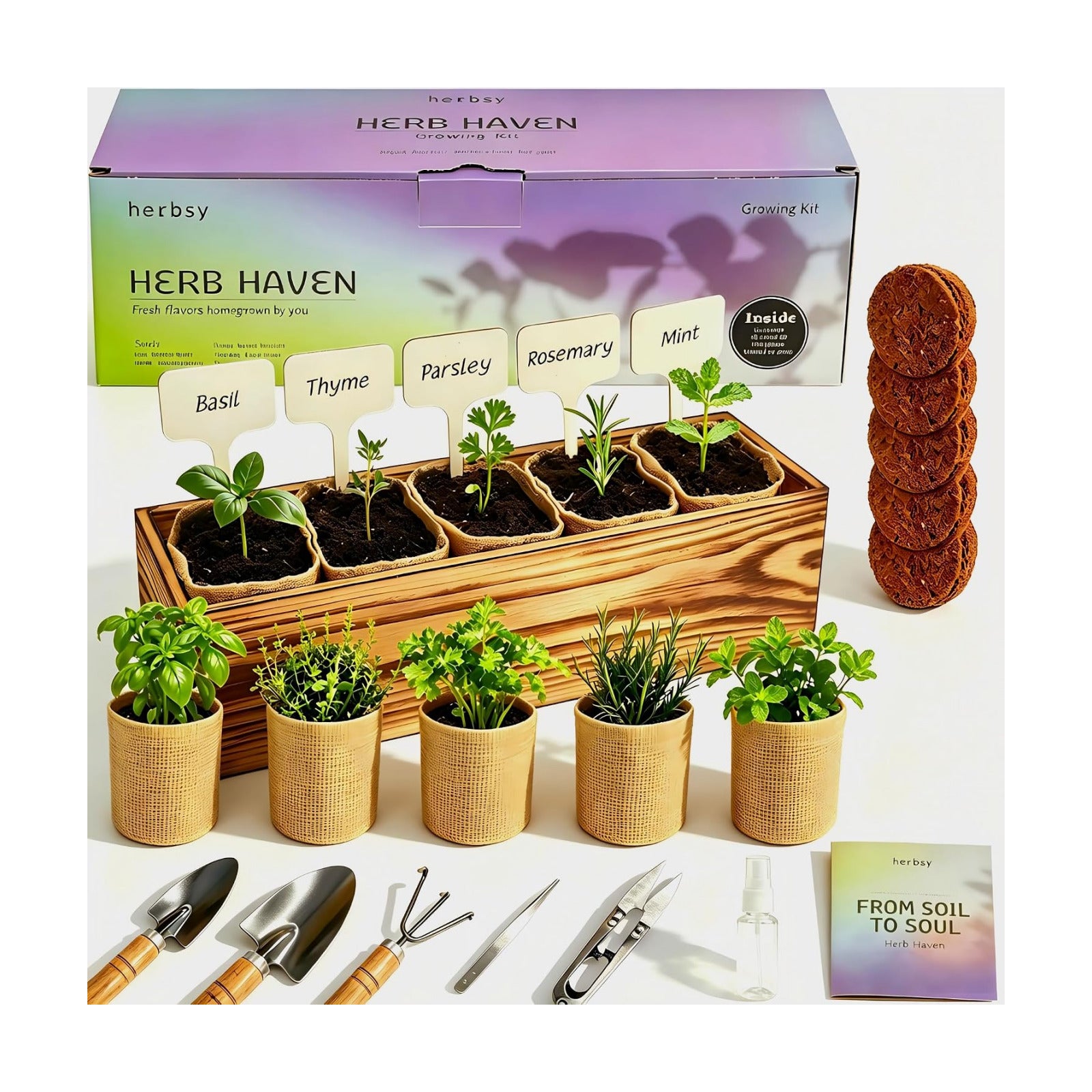 5 Herb Garden Kit with Wooden Box – Basil, Thyme, Parsley, Rosemary, Mint – Windowsill Herb Garden for Kitchen –