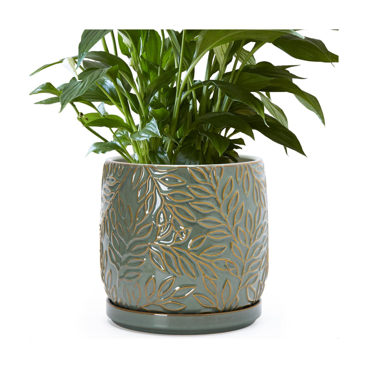 D'vine Dev Embossed Leaves Ceramic Planter, 8 in, Olive, 27-A-Q-0