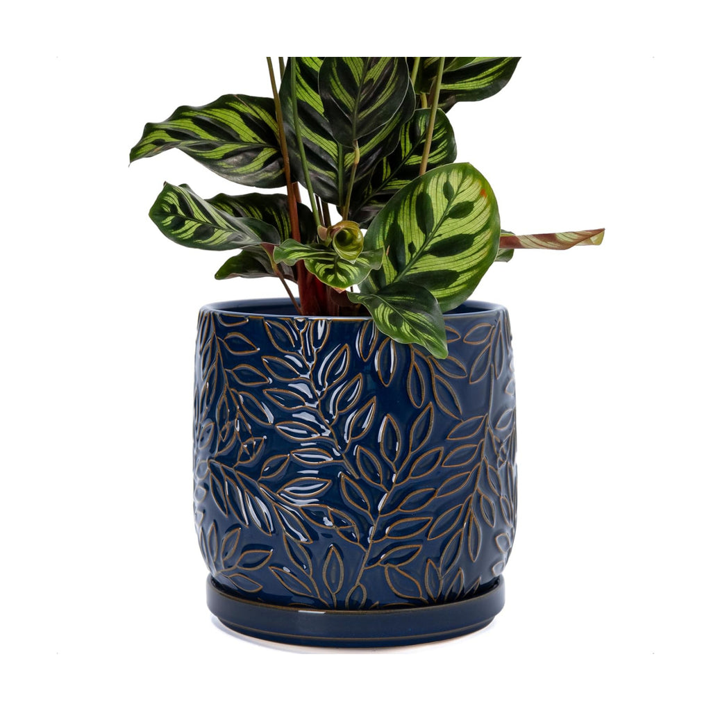 D'vine Dev Embossed Leaves Ceramic Planter, 8 in, Midnight Blue, 27-A-Q-3 | Nature-Inspired Leaf Pattern, Handcrafted