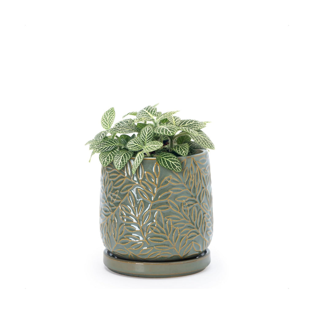 D'vine Dev Embossed Leaves Ceramic Planter, 4 in, Olive, 27-A-Z-0