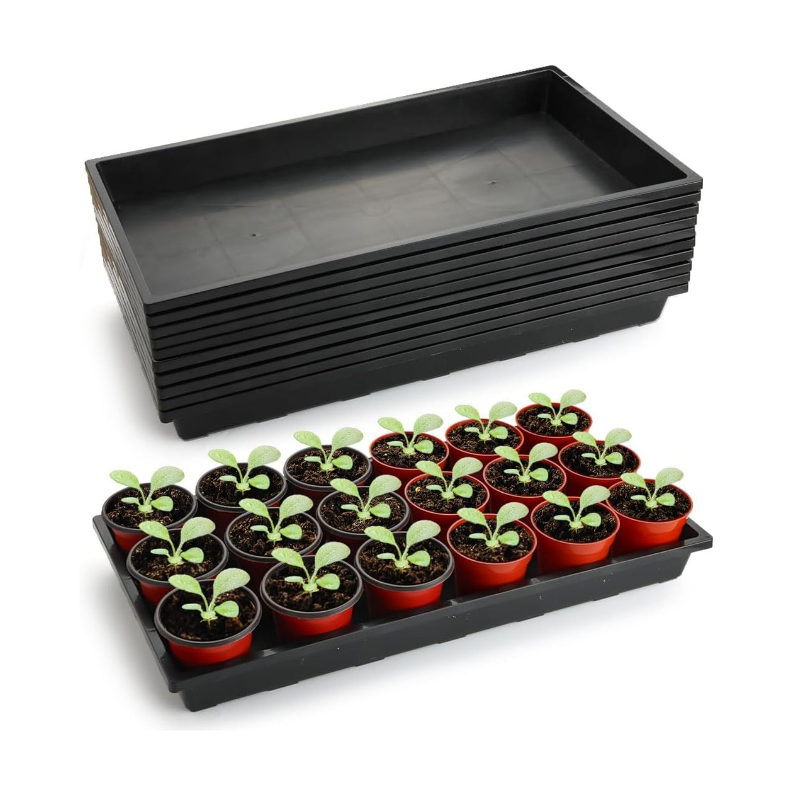 RooTrimmer 1020 Flat Seed Starter Trays 10 Pack, Plastic Nursery Pots Trays & Seeds Potting Plants Tray, Durable