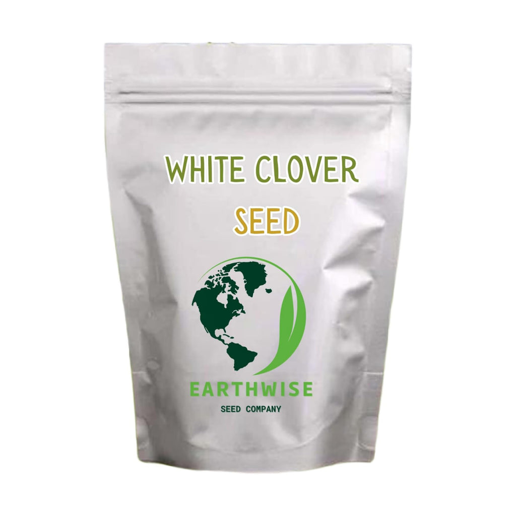Earthwise White Dutch Clover Alternative Lawn Seed - 5 lb, 10,000 sq ft | Non-GMO Seed, No Pesticides, Nitrogen Fixing