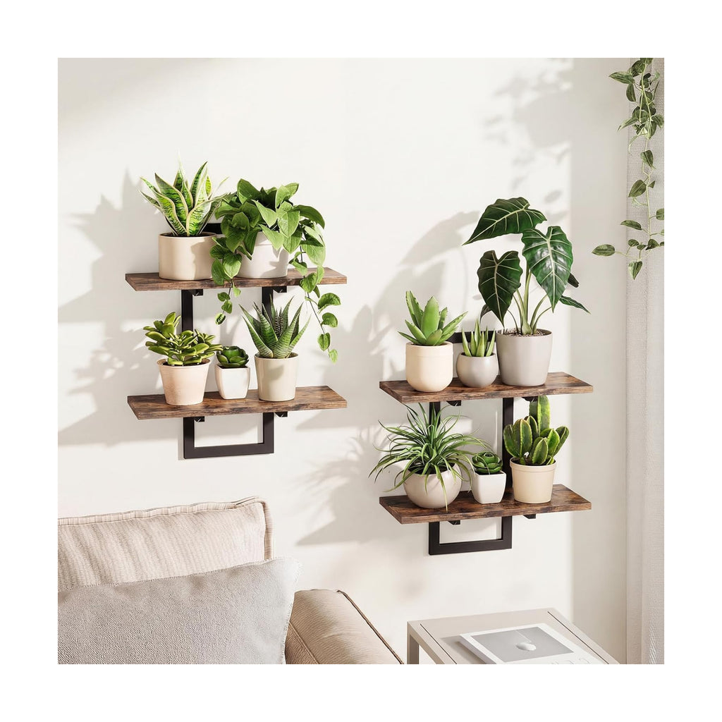 Bamworld Floating Shelves for Wall Planters Indoor Hanging Plant Shelves | Plant Holder Wall Decor Plant Stand Indoor