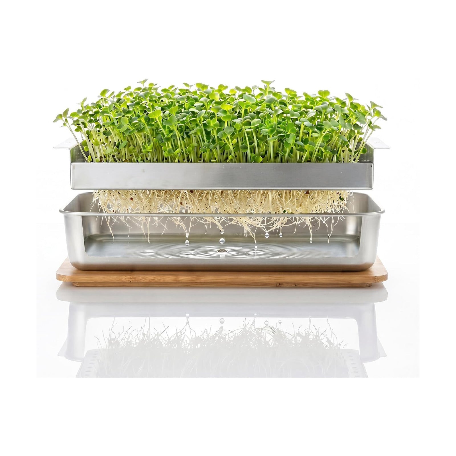 Microgreens Growing Kit – Stackable Stainless Steel Sprouting Tray with Wood Lid, Sprouts Growing Kit for Indoor