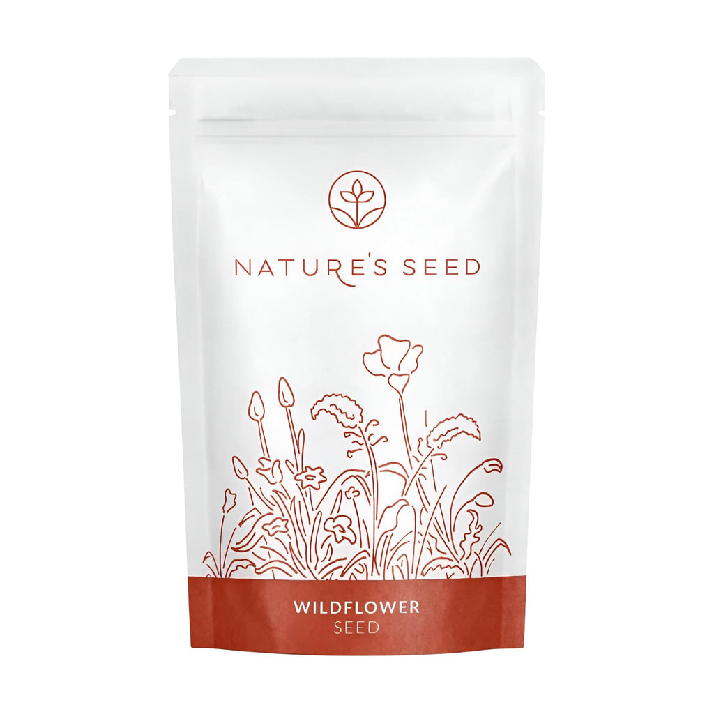 Nature’s Seed California Poppy Wildflower Seeds for Planting, Drought Tolerant, Pollinator Friendly, 0.5 lbs