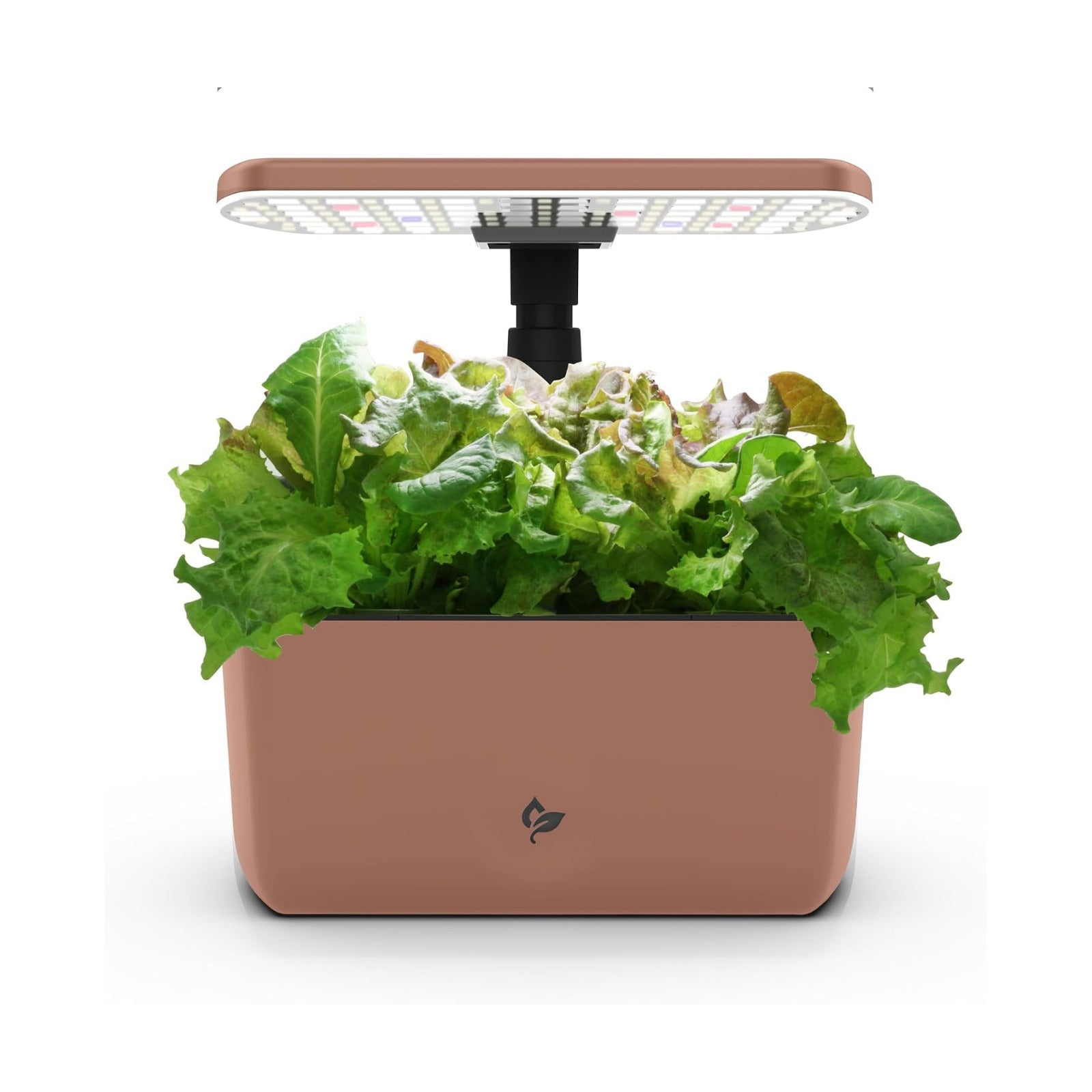 AeroGarden Harvest Lite, Mocha | Soil-free Indoor Hydroponic Garden with LED Grow Light for Year-Round Gardening of up