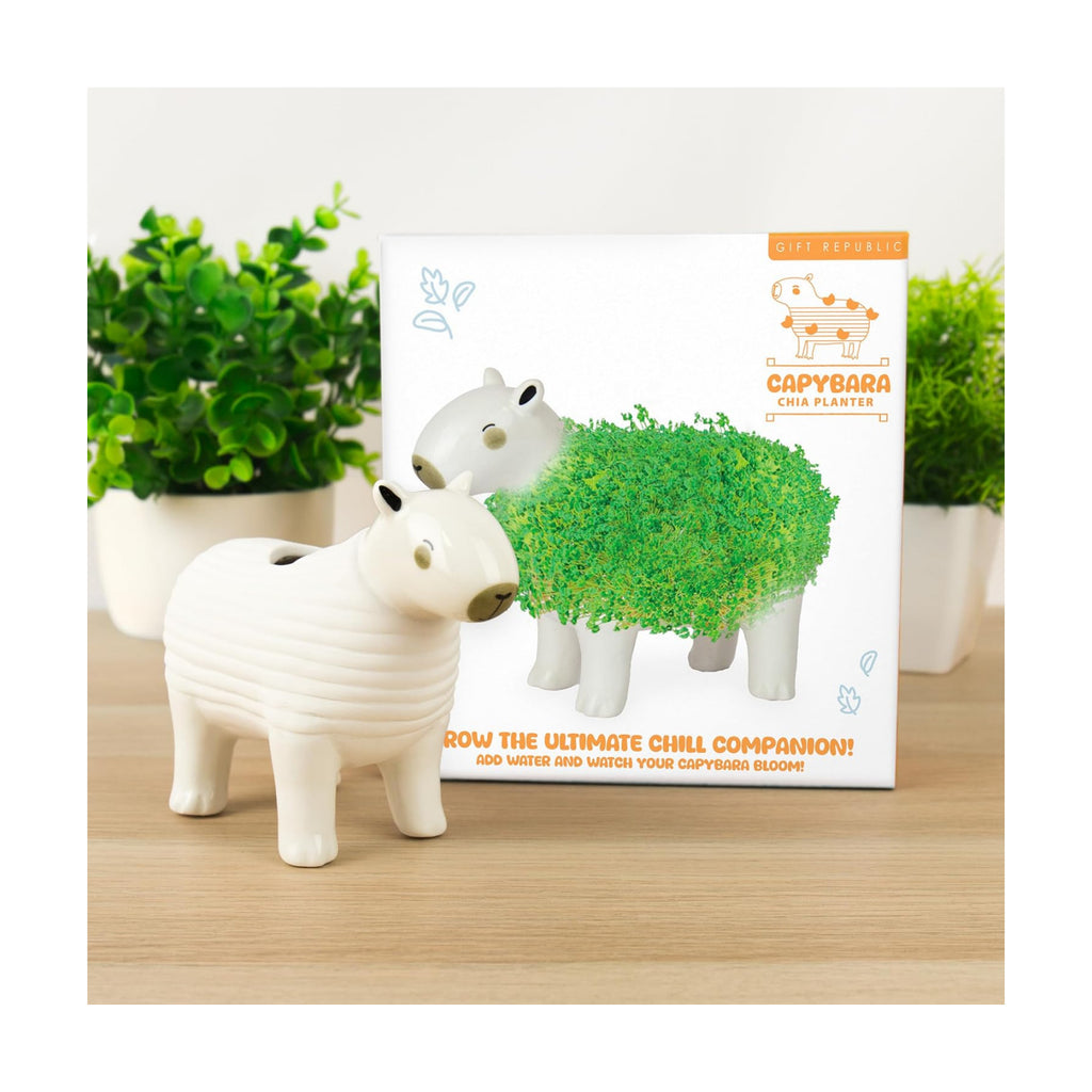 Gift Republic Capybara Chia Planter Desktop Sprouting Chia Animal Fun Grow Kit