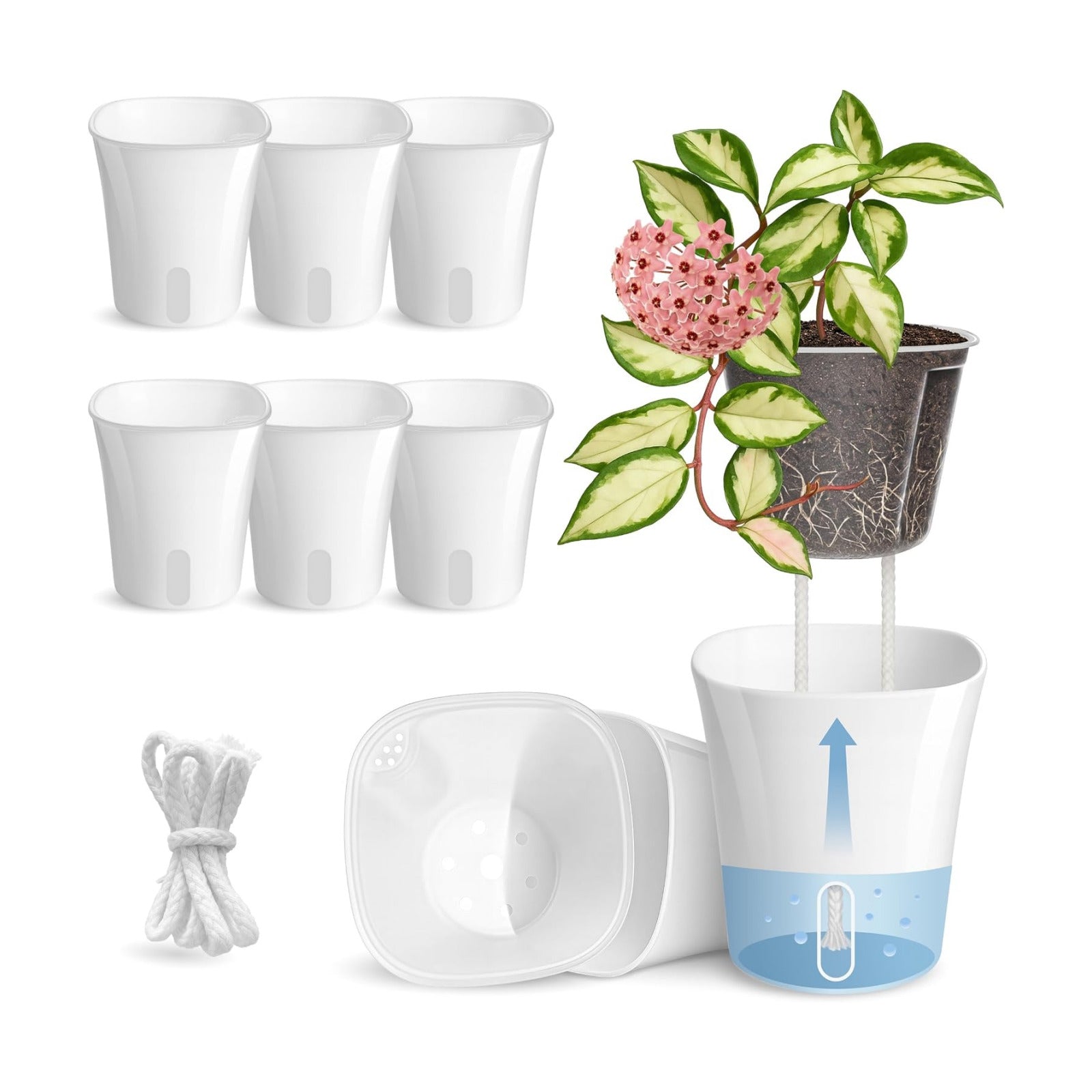 8 Pack 4" Self Watering Pots for Indoor Plants, Clear Inner Cup, Small White Plastic Planters, Water Level Indicator