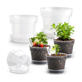 10/8/6 Inch Clear Plant Pots with Drainage Hole 12 Pack, Transparent Sturdy Plastic Nursery Pots with Saucers, Plant