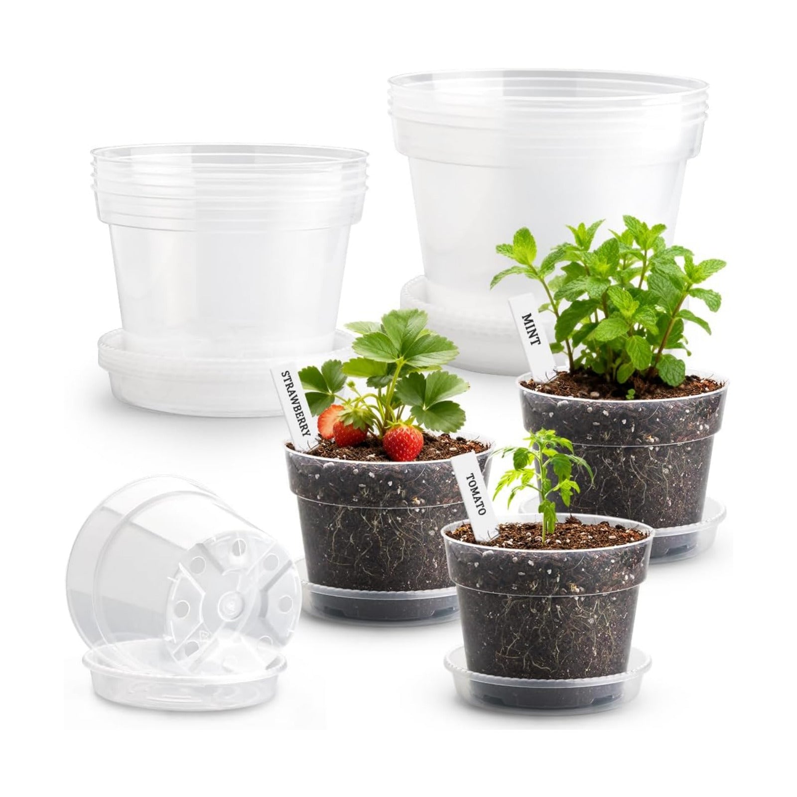 10/8/6 Inch Clear Plant Pots with Drainage Hole 12 Pack, Transparent Sturdy Plastic Nursery Pots with Saucers, Plant