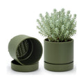 Phoenix Vine 6 Inch Planter Pot with Drainage Hole & Saucer, Deep Water Catch Tray, Straight Cylindrical Round Pot for