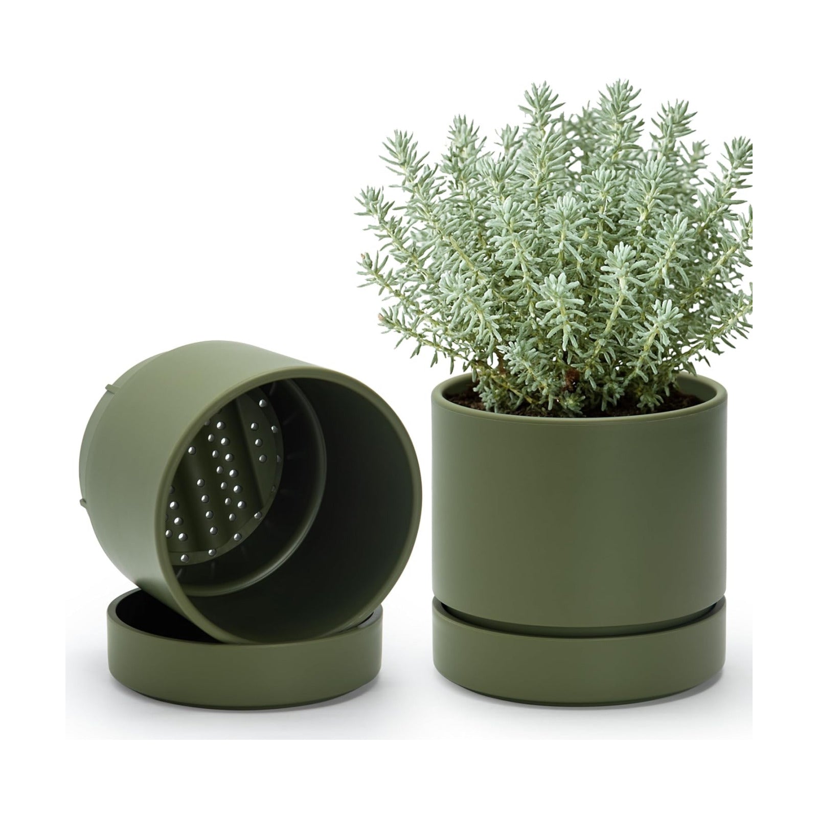 Phoenix Vine 6 Inch Planter Pot with Drainage Hole & Saucer, Deep Water Catch Tray, Straight Cylindrical Round Pot for