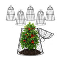 FRUITEAM Metal Plant Covers 6pcs, Heavy Duty Garden Cloche Plant Cage | 13"x15.8"H Rust-Proof Plant Protectors from