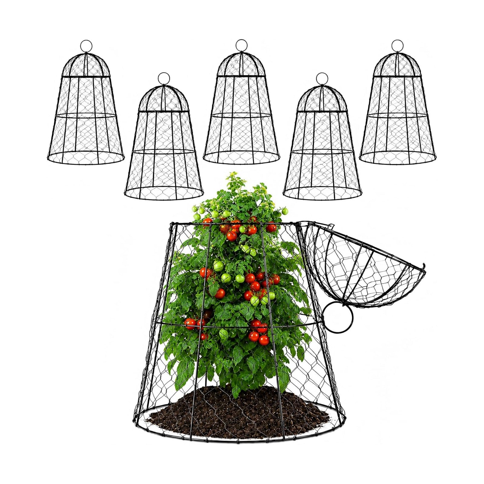 FRUITEAM Metal Plant Covers 6pcs, Heavy Duty Garden Cloche Plant Cage | 13"x15.8"H Rust-Proof Plant Protectors from