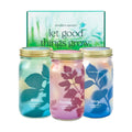 Modern Sprout Garden Jar Gift Pack - Hydroponic Kit - Basil, Parsley & Mint | Self-watering growing system w/organic