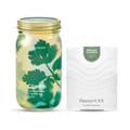 Modern Sprout MasonJar+Replant Kit-Self-Watering Hydroponic System-Cilantro | Growing System Kit w/Organic Herb Seeds