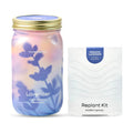 Modern Sprout MasonJar+Replant Kit-Self-Watering Hydroponic System-Lavender | Growing System Kit w/Organic Herb Seeds