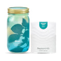 Modern Sprout Mason Jar+Replant Kit- Self-Watering Hydroponics System-Basil | Growing System Kit w/Organic Herb Seeds
