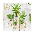 5 Pack Planters Stands with Gold Outdoors Plant Holders Indoor (GoldS)
