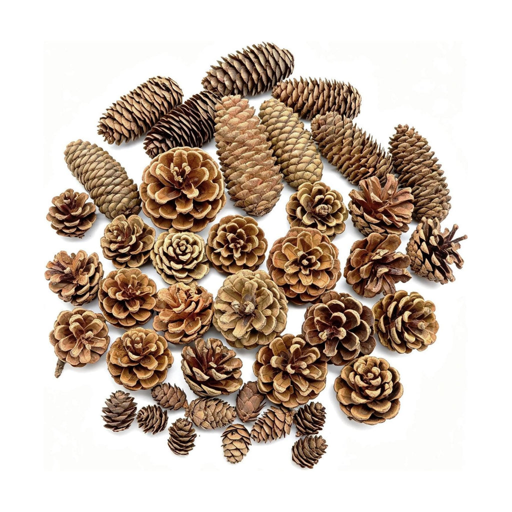 Christmas Pine Cone Decorations, 40 Pcs Natural Pine Cones for Crafts